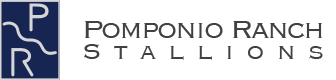 Pomponio Ranch Stallions 
